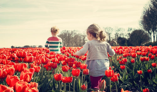 Gardening With Kids