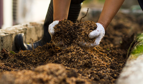 Ways to Make Your Garden Eco-Friendly