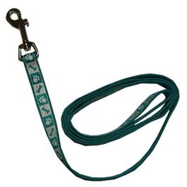 Lazer Brite Dog Leash, Reflective, Teal, 1-In. x 4-Ft.