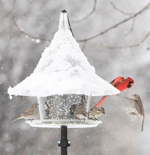 Arundale Products Sky Cafe Bird Feeder