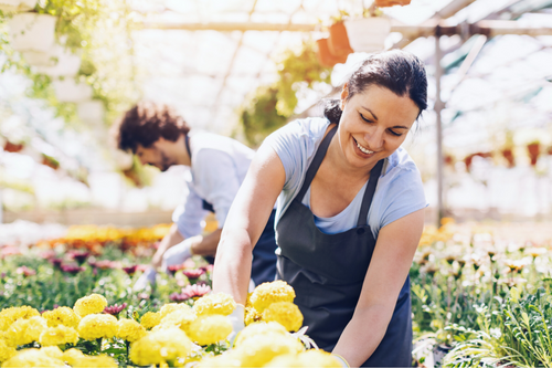 Garden center