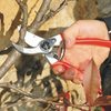 Felco 2 Pruner