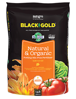 BLACK GOLD® Natural & Organic Potting Mix (16 QT)